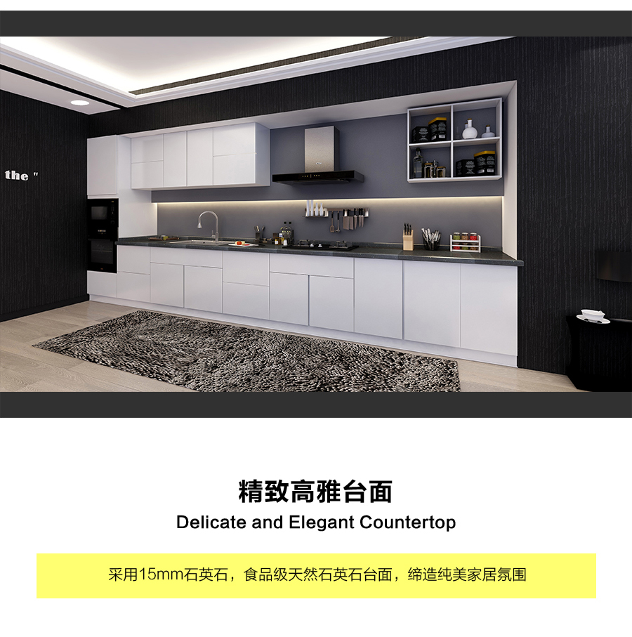 星空梵高定制櫥柜 現(xiàn)代簡約整體定制櫥柜 石英石臺面定制櫥柜 雙飾面-顆?？酒?10定制櫥柜