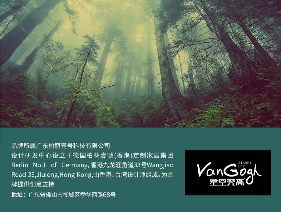 星空梵高 現(xiàn)代簡(jiǎn)約雙人床實(shí)木床 荷蘭晨風(fēng) TB-109#床